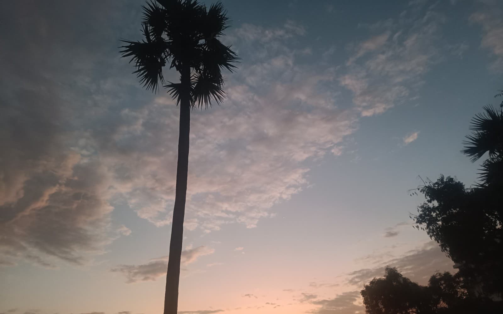Nature