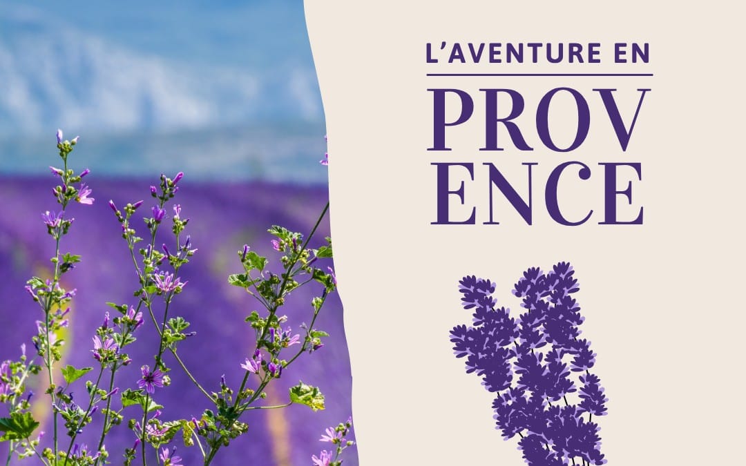 The Provence Adventure: Escape to the Lavender Fields