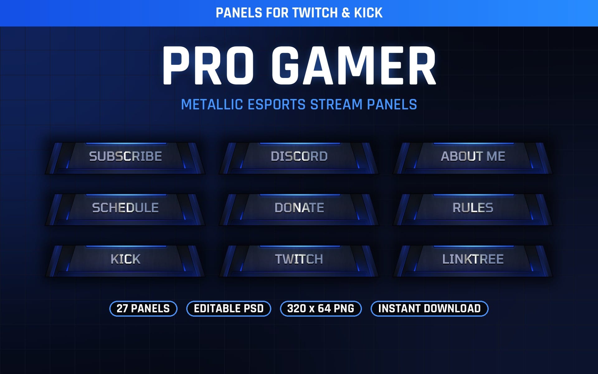 Pro Gamer metallic esports Twitch and Kick stream panels with subscribe discord donate about rules schedule and link