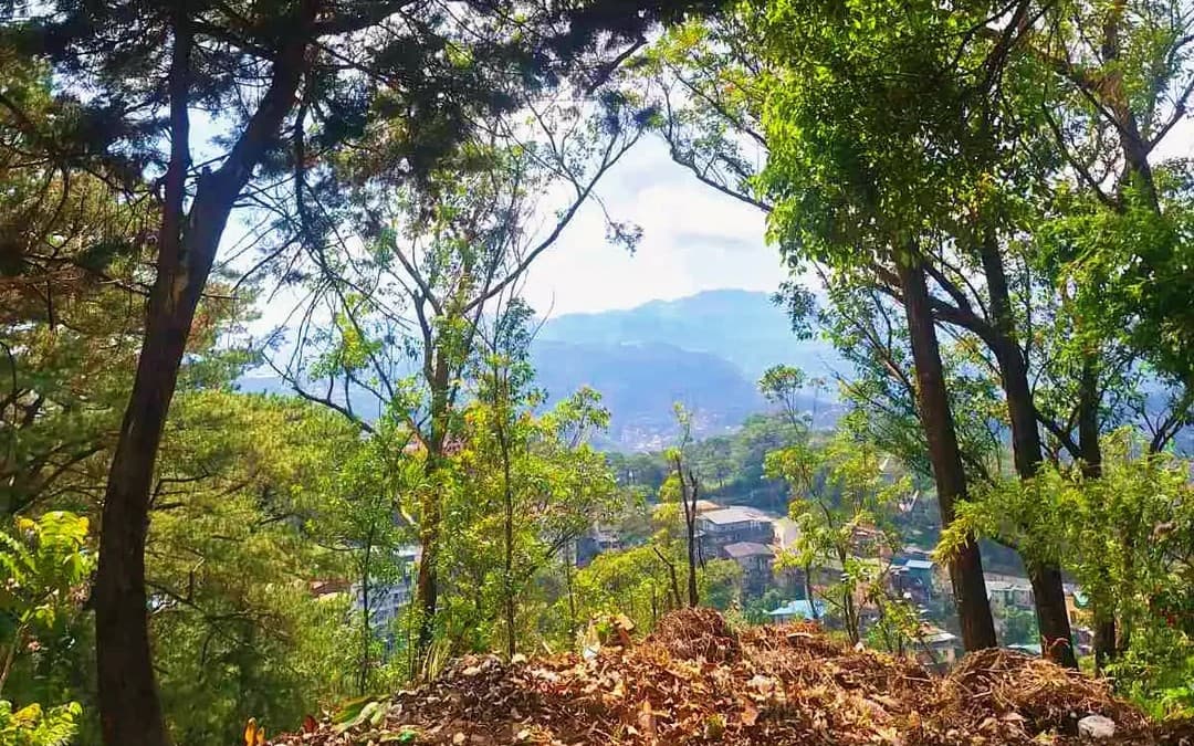 Soft sunrays, quiet tea, and a moment of peace under the trees. A simple scene that feels like calm.
