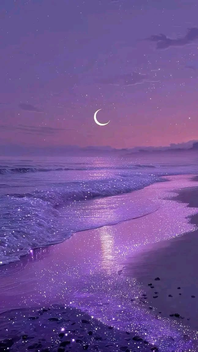 Kutmero store banner